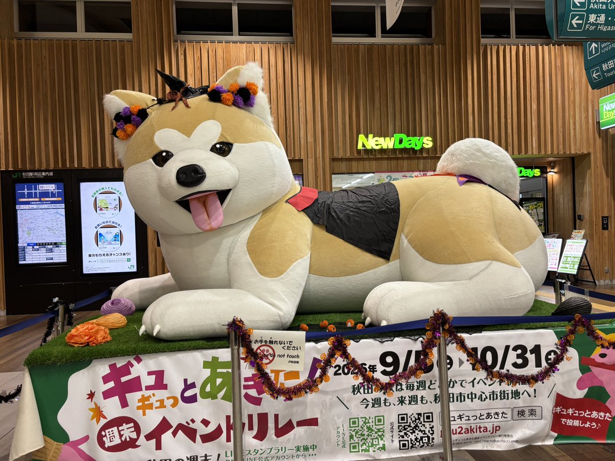 Yurei004's tweet photo. フォロワーと芋煮会からの鶴岡・秋田旅行楽しかった✌️ https://t.co/rEK2S3E6JW