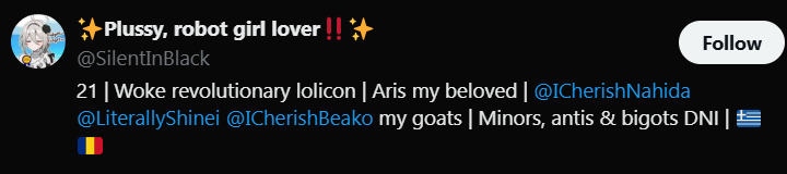 UsamiKusakabe's tweet photo. @rockkkkinggg @NiggaCyclops post the coco profile video I just noticed this guy follows a lolicon and proshipper https://t.co/8XZXRQM5tf