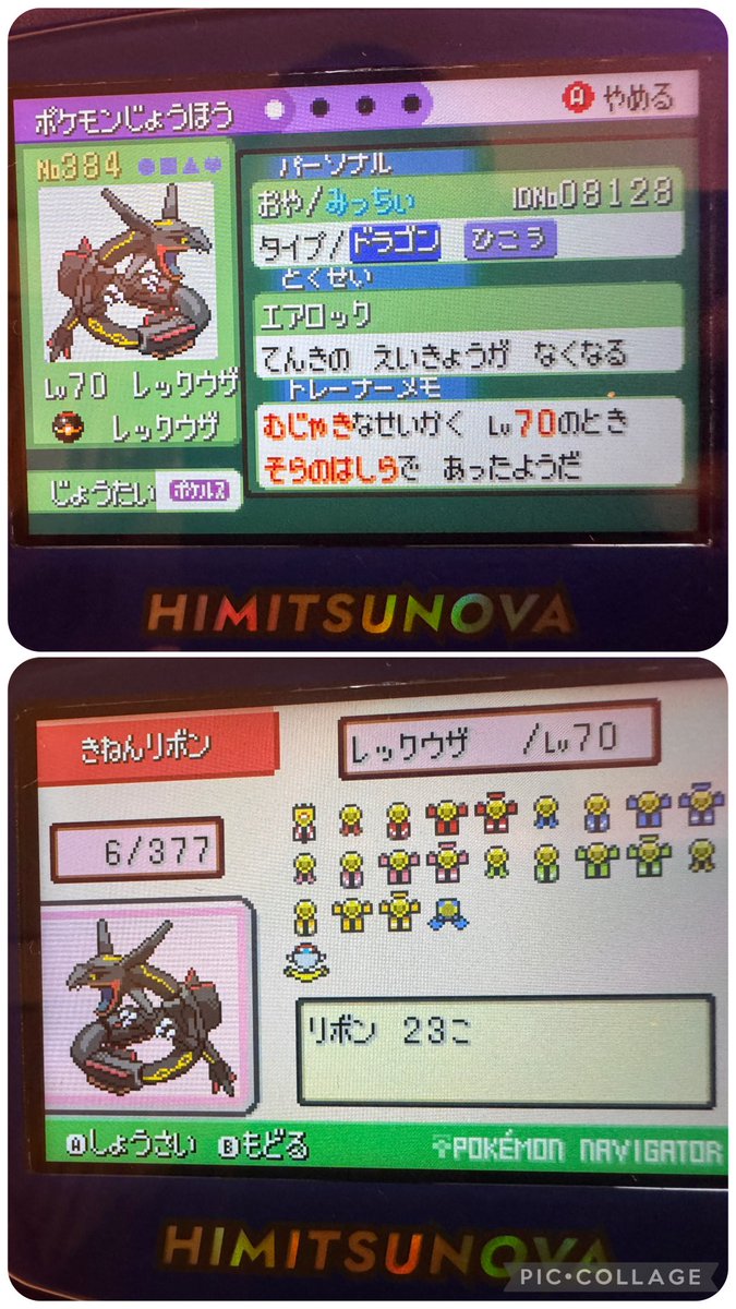 shinyhuntribbon's tweet photo. ゴジャボ入り色違いレックウザの3世代限定リボン🎀コンプ(๑˃̵ᴗ˂̵)و ﾖｼ!✨ https://t.co/EUyWqoCqYA