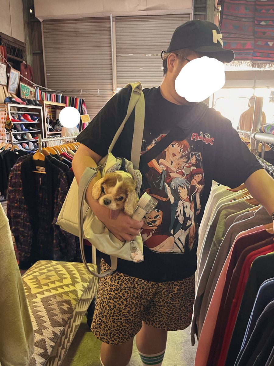 vivitomaaru's tweet photo. わんこ連れOKの古着屋さんに行きました🐶👗 https://t.co/C9AjSgpdNo