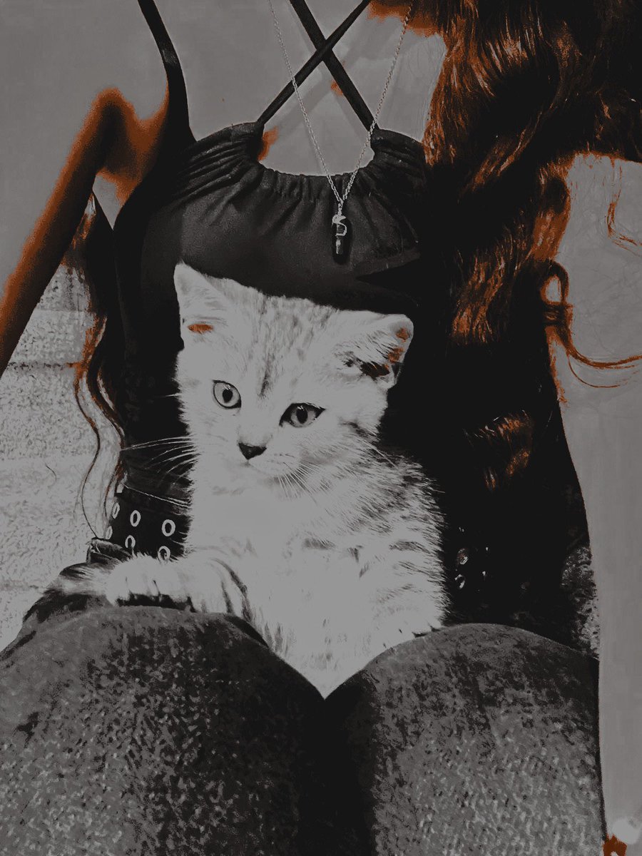 OHMYBROADWAY's tweet photo. ᅠᅠᅠᅠ

‍        @.𝐛𝐫𝐨𝐚𝐝𝐰𝐚𝐲𝐣𝐨  ：welcome  home
        jumper  with  your  two  mommy  !

       📍    :     𝐣𝐮𝐧𝐞  &amp;  𝐣𝐨  𝐚𝐩𝐩𝐚𝐫𝐭𝐦𝐞𝐧𝐭 
         ————

ᅠᅠᅠᅠ https://t.co/jJaCbX45sT