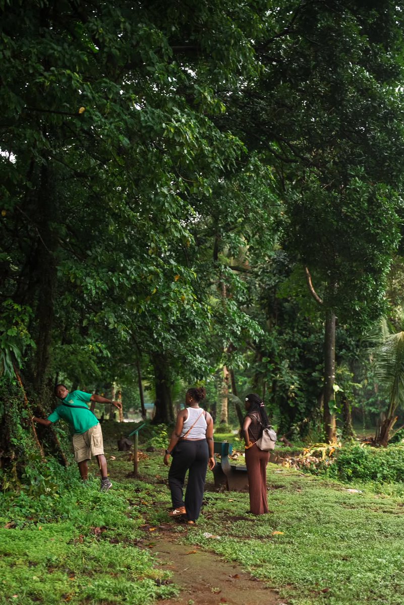Kenatourism's tweet photo. 3 jours à Limbé avec Kèna.

Histoire, nature, eau et detente. Tout ce qu'il faut pour un week-end qui recharge.

185 030 FCFA par personne. Réserve sur https://t.co/01wHRA68wS https://t.co/hGKl0RFsZf