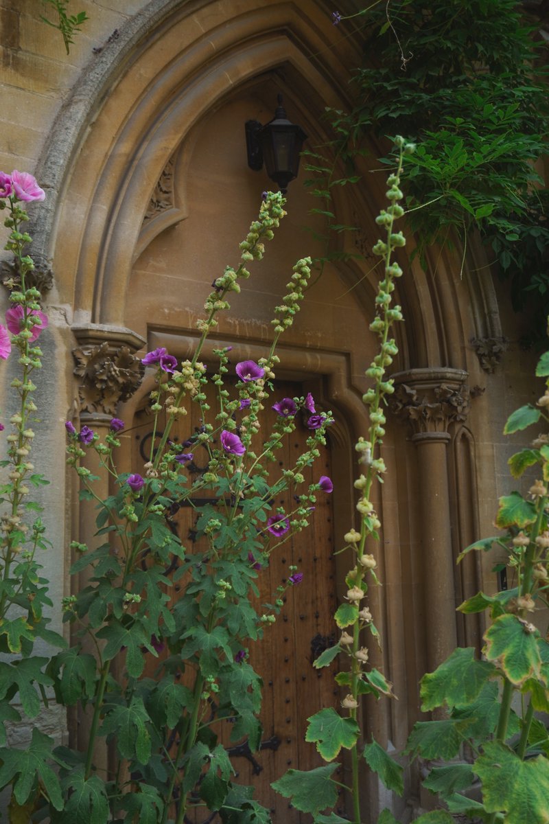 ExeterCollegeOx's tweet photo. Not all adventures begin with a round door… 🌿

On #HobbitDay, we’re celebrating Bilbo and Frodo Baggins — and their creator, Exeter alumnus J.R.R. Tolkien, who came up to the College in 1911.

Some corners of Exeter still feel rather fitting for an adventure… 

📸 @12atoxford https://t.co/LtauJYH78l