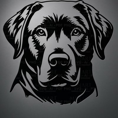 MWPutters's tweet photo. #NewProfilePic https://t.co/2OqjLge3WD