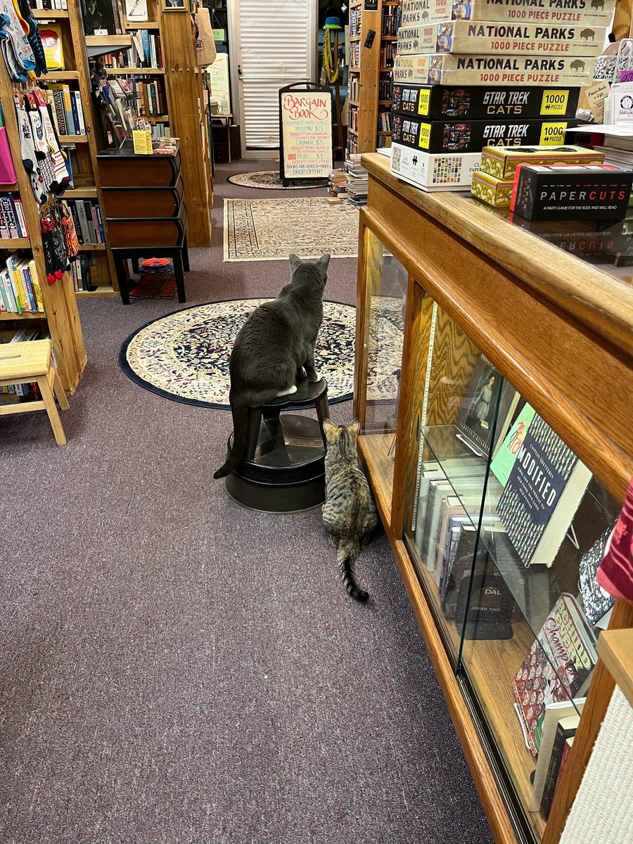 CatWorkers's tweet photo. 📸 A Novel Idea Bookstore https://t.co/H9E2hKKLw3