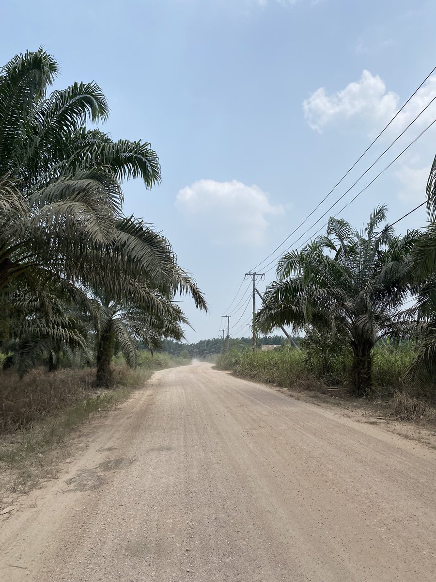 813killzzz's tweet photo. view of borneo https://t.co/YxXBinvStb