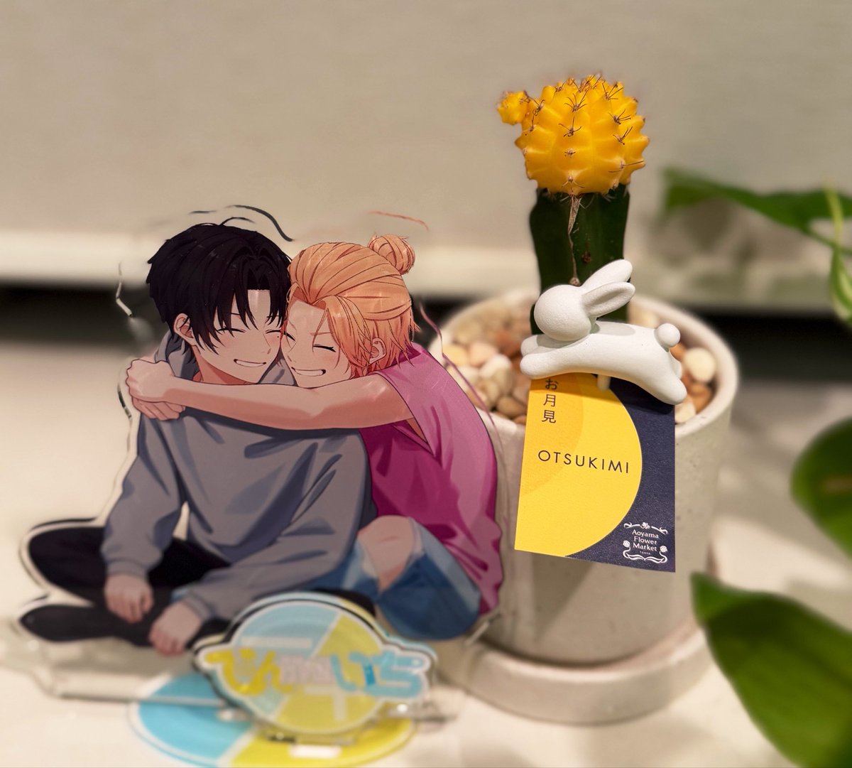 0110ichiten's tweet photo. 今日、お出かけしてて
天くんカラーのサボテン🌵見つけた💛
そのうち黄色い花は枯れちゃうけど
また来年、花を咲かせてくれるそうです✨

一年先の楽しみができました🙌🏻✨

#てんぶんのいち
#お月見🎑 https://t.co/LMuR62qMa5