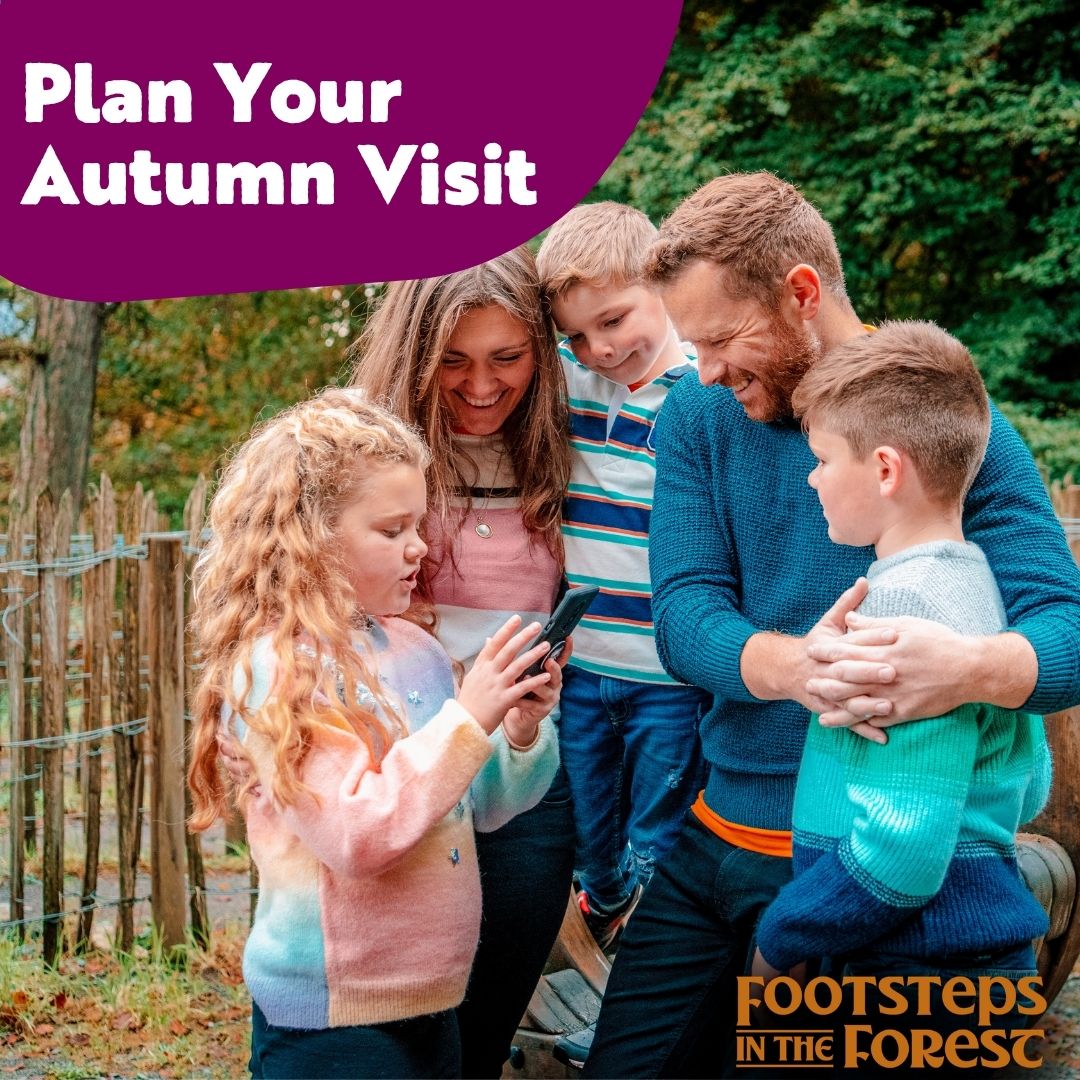 VisitMGS's tweet photo. 🍂 Make Footsteps in the Forest part of an autumn visit to Mourne Gullion Strangford.

Explore Slieve Gullion Forest Park, discover the myths and legends of this ancient landscape and enjoy more Halloween events, local food and autumn experiences.

👉https://t.co/JSd9TLK5wu https://t.co/1NT9EB7MHs