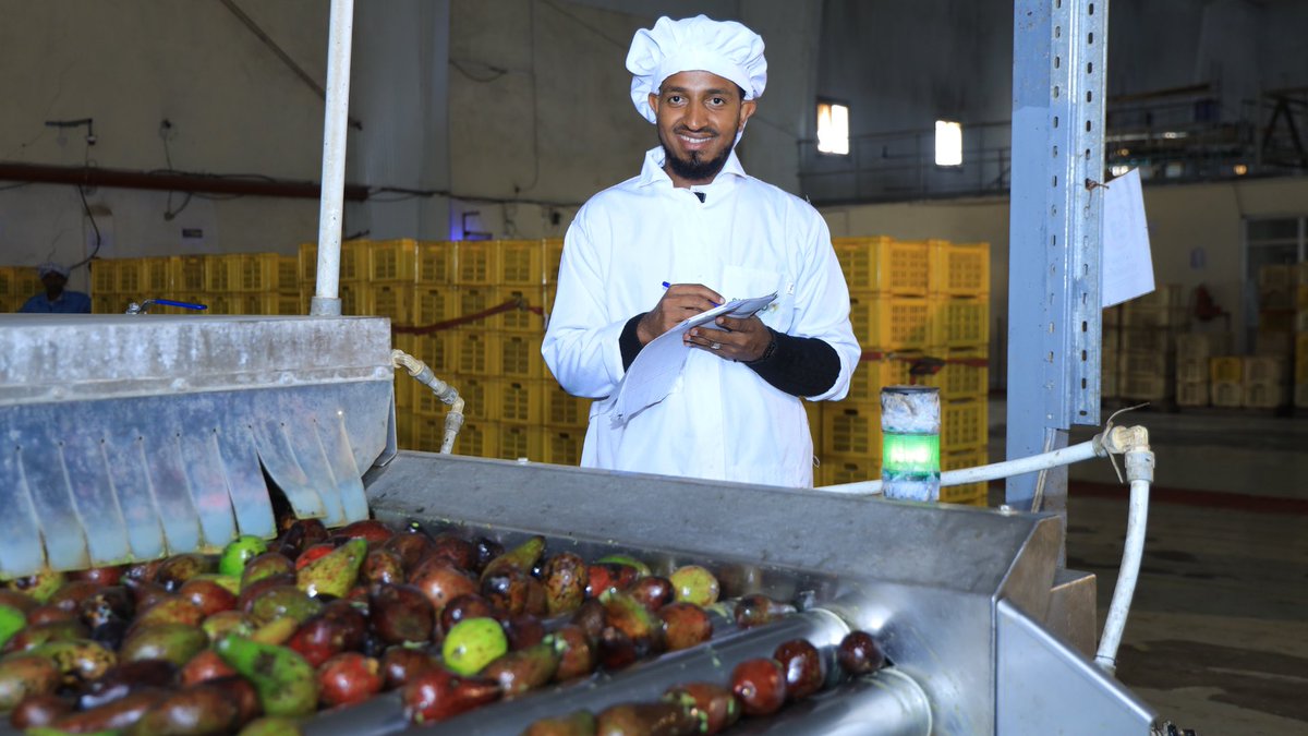 ETEmbassyJIB's tweet photo. L’Éthiopie transforme son agriculture en richesse industrielle. Investissez dans nos pôles agro-industriels en plein essor et bénéficiez d’exonérations douanières ainsi que de vastes terres arables. L’avenir de l’alimentation se trouve ici. #InvestirEnÉthiopie #AgroIndustrie https://t.co/NsnDN16Q5Z