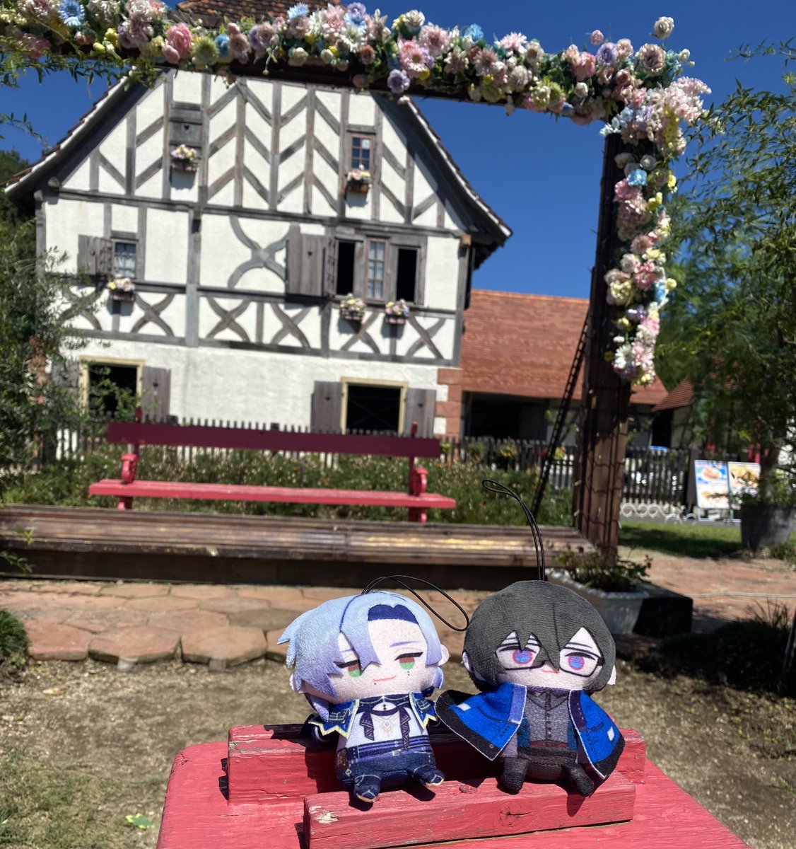 nonnnonnSpoon's tweet photo. 一旦かわいいか
守るべきちいさいいのちを増やしたいこの頃 https://t.co/mokVlp0Mkt