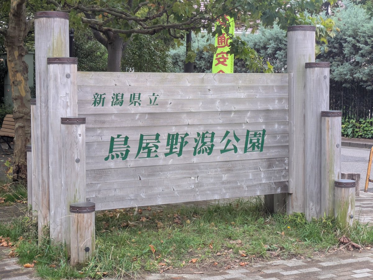 anpontomo's tweet photo. 秋の訪れを感じる #彼岸花 。
家の近くでこんなに群生してる所があるなんて驚きでした。
#新潟市中央区 #鳥屋野潟公園 https://t.co/0VEhor3nZ9