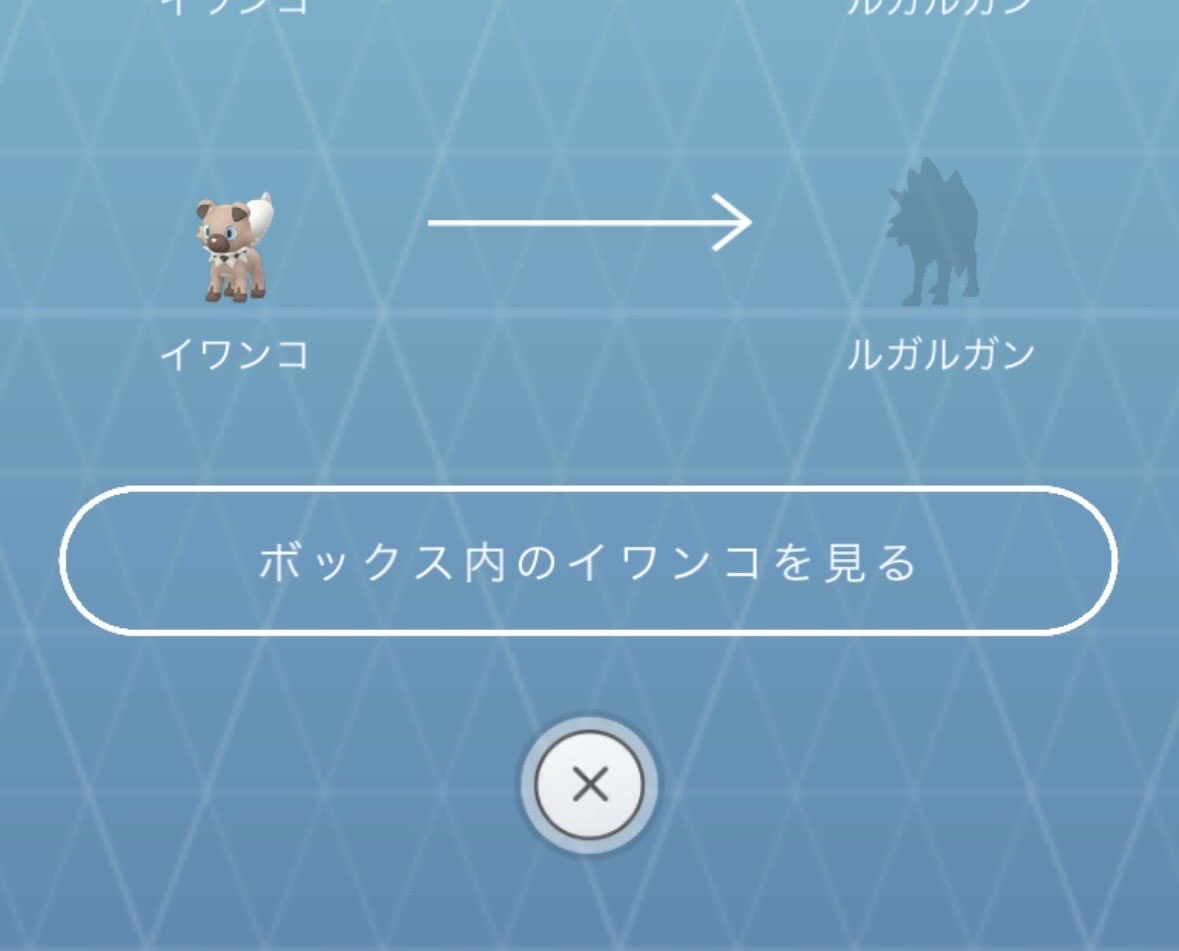 ryco_brand013's tweet photo. え、たそがれのイワンコ！？何それ〜知らないでイワンコ博士に送っちゃってたよ...。
#ポケモンgo
#たそがれのイワンコ https://t.co/MJRLPtJKcd