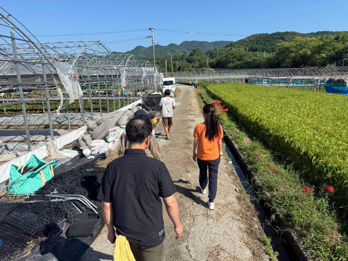 3yuko_nakada3's tweet photo. 今日は、八女市内で農地や畑を視察訪問し、党員さんと一緒に苺の苗植え、里芋・さつまいもの収穫体験をさせていただきました。

八女市内も耕作放棄地が増加しているとのことですが、人を雇いたくても雇えない、続けたくても辞めざるを得ないというお話しがありました。

大規模化への支援が拡大する一方で、全国に多数おられる小規模農家さんが安心して耕作を続けられるように、更なる支援体制の強化や取り組みが必要です。

県内の一部地域で取り組まれている耕作放棄地の活用スキームについても、今後広げられるかどうか検証していきたいと思います。

#福岡県
#八女市