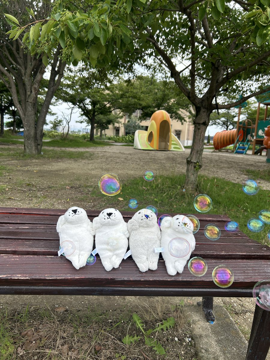 waccha_309's tweet photo. 今日も１日お疲れさま🦭🫧 https://t.co/A7xjTa4de4
