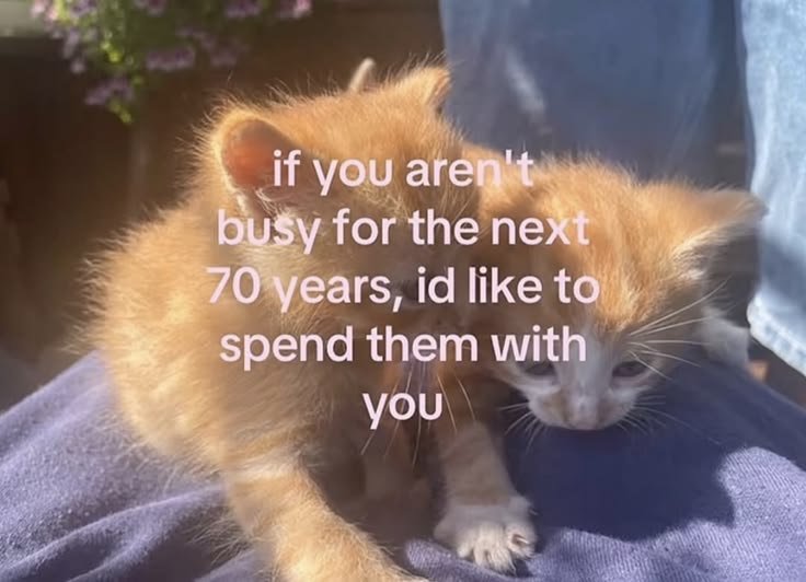 solaceax01's tweet photo. are you free? https://t.co/ruQbiEJ30A