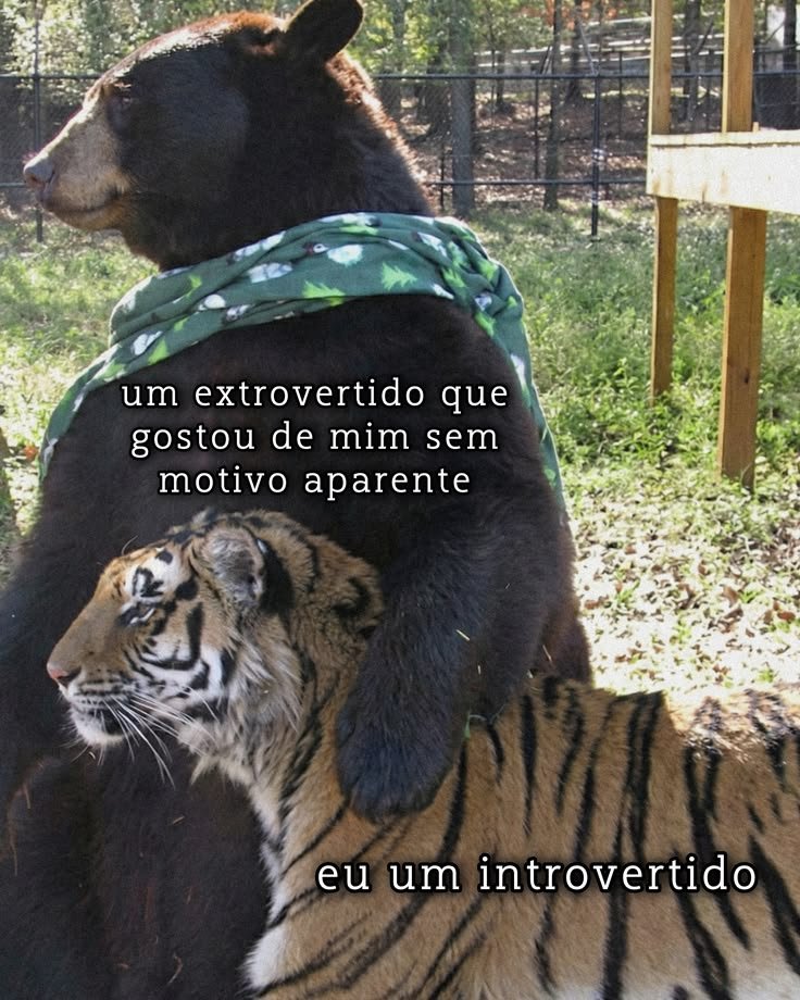 TerrorCotidiano's tweet photo. https://t.co/splX2PcacO