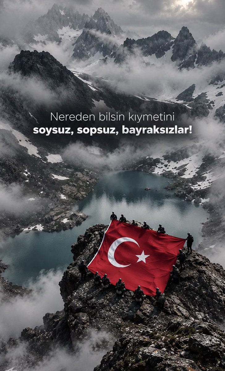 Ozgur_Tataroglu's tweet photo. Vatansız hainler ne bilsin bayrağın kıymetini.. https://t.co/Ctcm2iC3co