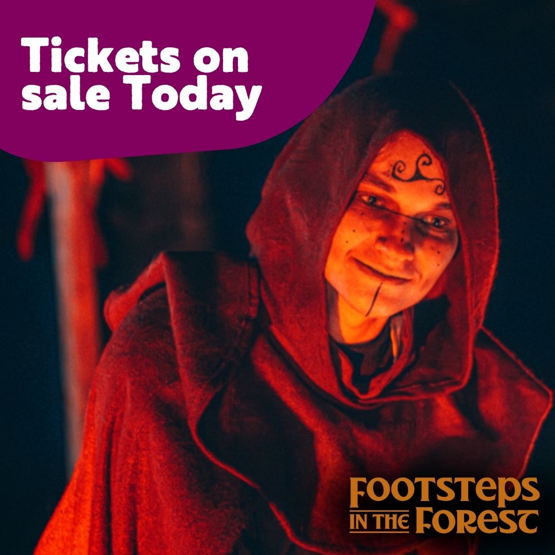 VisitMGS's tweet photo. ⏰Tickets for Footsteps in the Forest go on sale today, Thursday 1 October at 12 noon.

Tickets cost £10, with each ticket admitting one vehicle of up to seven seats.
https://t.co/JSd9TLJxGW

#FootstepsintheForest #VisitMourneGullionStrangford https://t.co/GYFUR7Ow0E