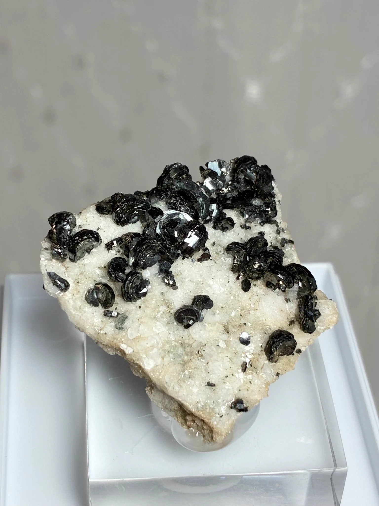 【希少産地】【黒薔薇】スイス カヴラディ産ヘマタイトローズ 29×29×12mm メタルと石が地球を救う on X: 