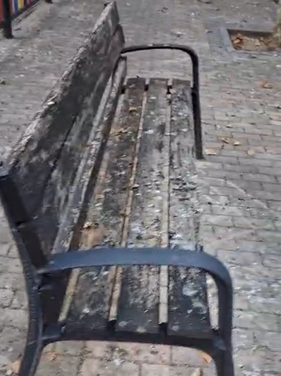 PSOE_talavera's tweet photo. 🧹 #Suciedad, baldosas rotas, #ratas y excrementos: así trata el Gobierno de PP y Vox a los niños del Bárcena, Machado y Santo Ángel de la Guarda de #Talavera.
👉+Info: https://t.co/HJcb8t8FX0 https://t.co/JEyUNZsGMK