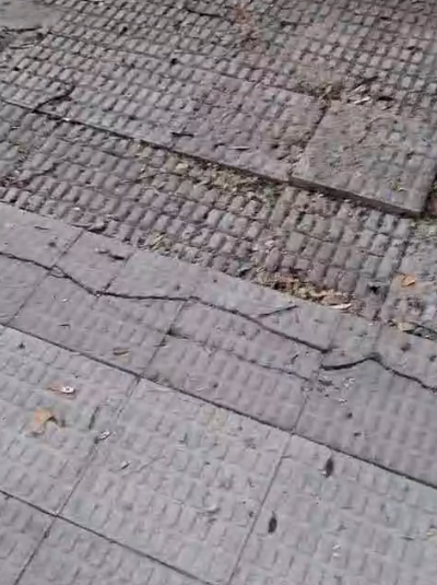 PSOE_talavera's tweet photo. 🧹 #Suciedad, baldosas rotas, #ratas y excrementos: así trata el Gobierno de PP y Vox a los niños del Bárcena, Machado y Santo Ángel de la Guarda de #Talavera.
👉+Info: https://t.co/HJcb8t8FX0 https://t.co/JEyUNZsGMK
