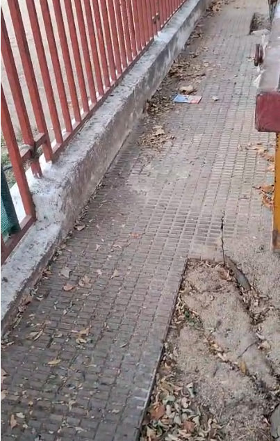 PSOE_talavera's tweet photo. 🧹 #Suciedad, baldosas rotas, #ratas y excrementos: así trata el Gobierno de PP y Vox a los niños del Bárcena, Machado y Santo Ángel de la Guarda de #Talavera.
👉+Info: https://t.co/HJcb8t8FX0 https://t.co/JEyUNZsGMK