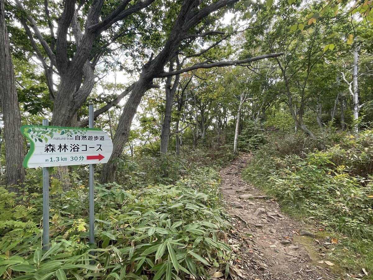 Miksa_FF14's tweet photo. 帰省中 https://t.co/MfUoOec2bh