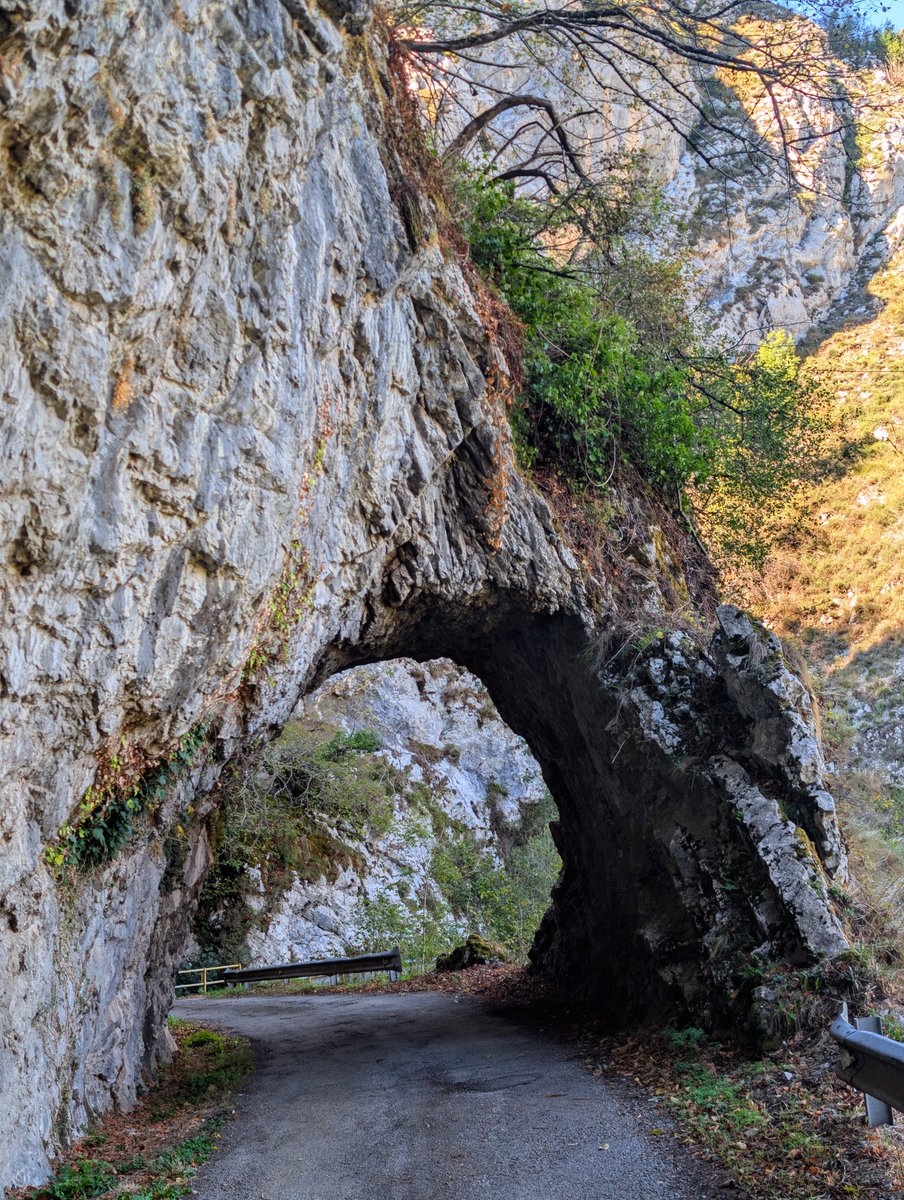 amantes_cycling's tweet photo. Mirador Bedules por Sobrefoz (Asturias)

📏 Longitud 15,5 kilómetros 
📐 Pendiente media 5,7%
📈 Desnivel 870 metros
⛰️ Altitud 1.100 metros

Preciosa ascensión en el corazón del parque Natural de Ponga https://t.co/Z3OqnMaCCW