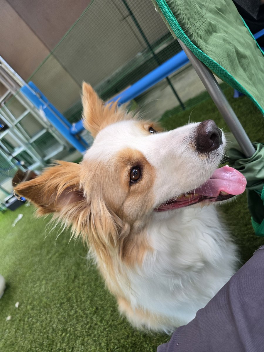 Luca0104border's tweet photo. 今日はBBQしました✨ https://t.co/aByrAlbeim