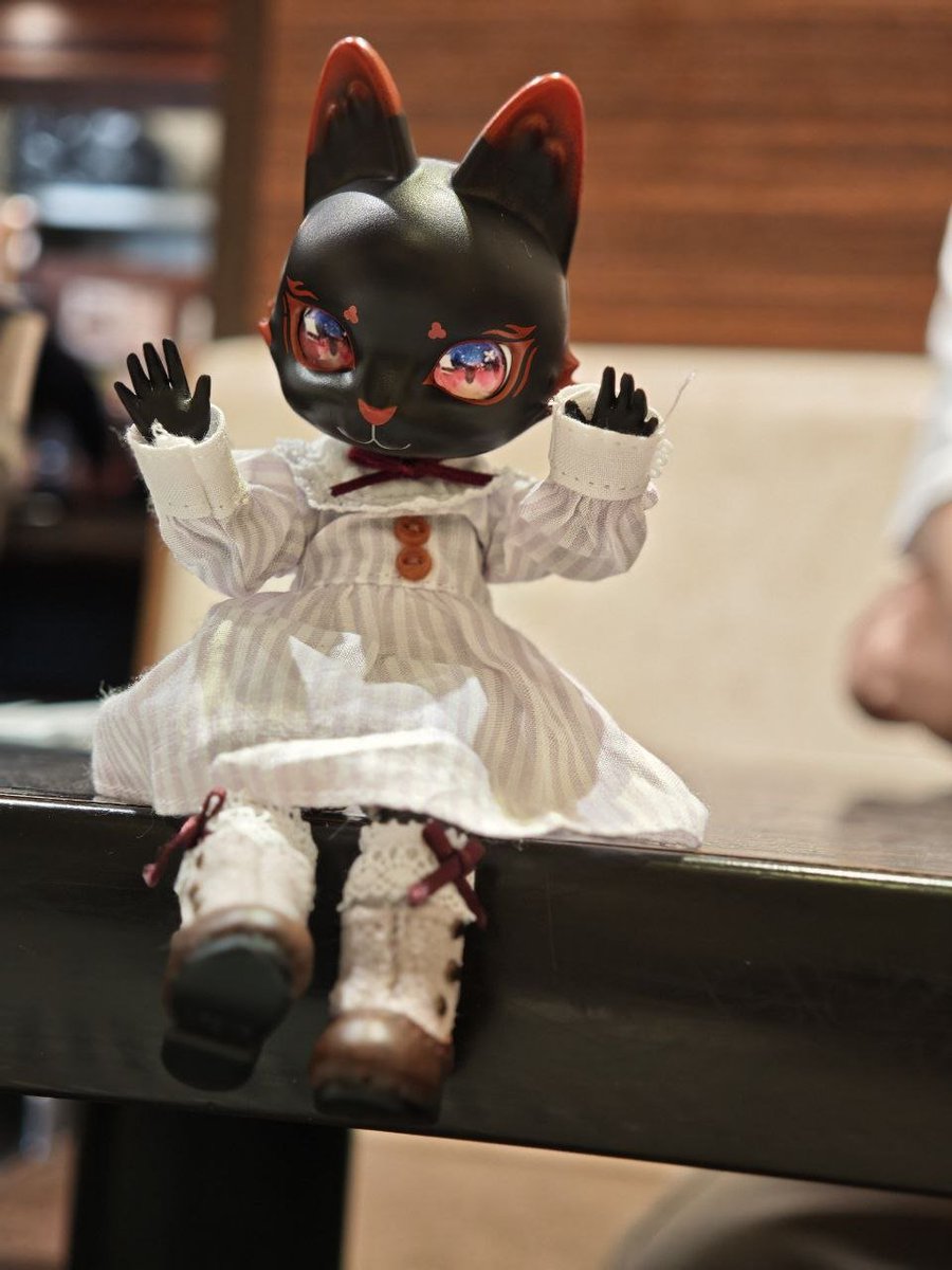 yumkeks's tweet photo. Essen gehen beim Coco's Curry mit meinem süßen Capsule Doll Fuchs Mädchen (*˘︶˘*).。.:*♡ 

🗓️ 18. Juni 2026

#カプセルドール #capsuledoll #Obitsu11 @CAPSULE_DOLL https://t.co/v3noaIG48D
