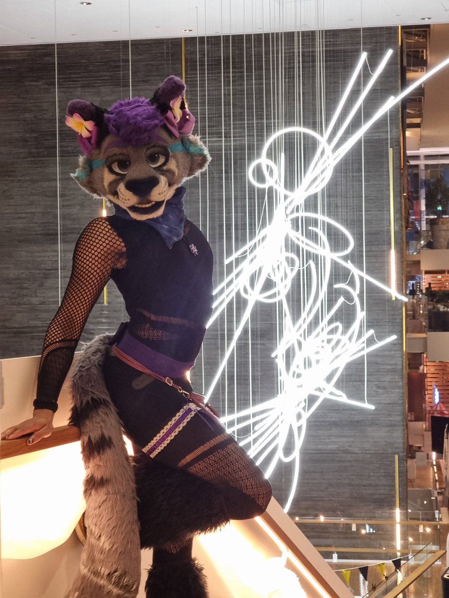 LiminKitty's tweet photo. Fierce Feline Energy 🐾 💜 ✨

📸 @Orion_snowmeow https://t.co/Dnu3clI52F