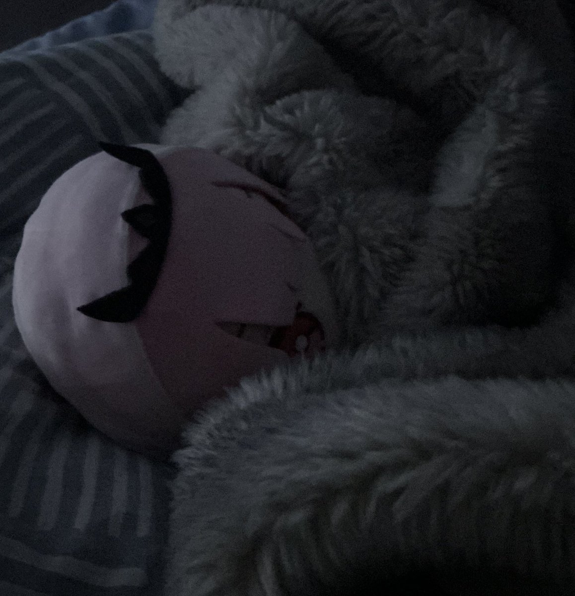 _kuureeii's tweet photo. goobnight guys im sleep now https://t.co/7TsSqX0Exx