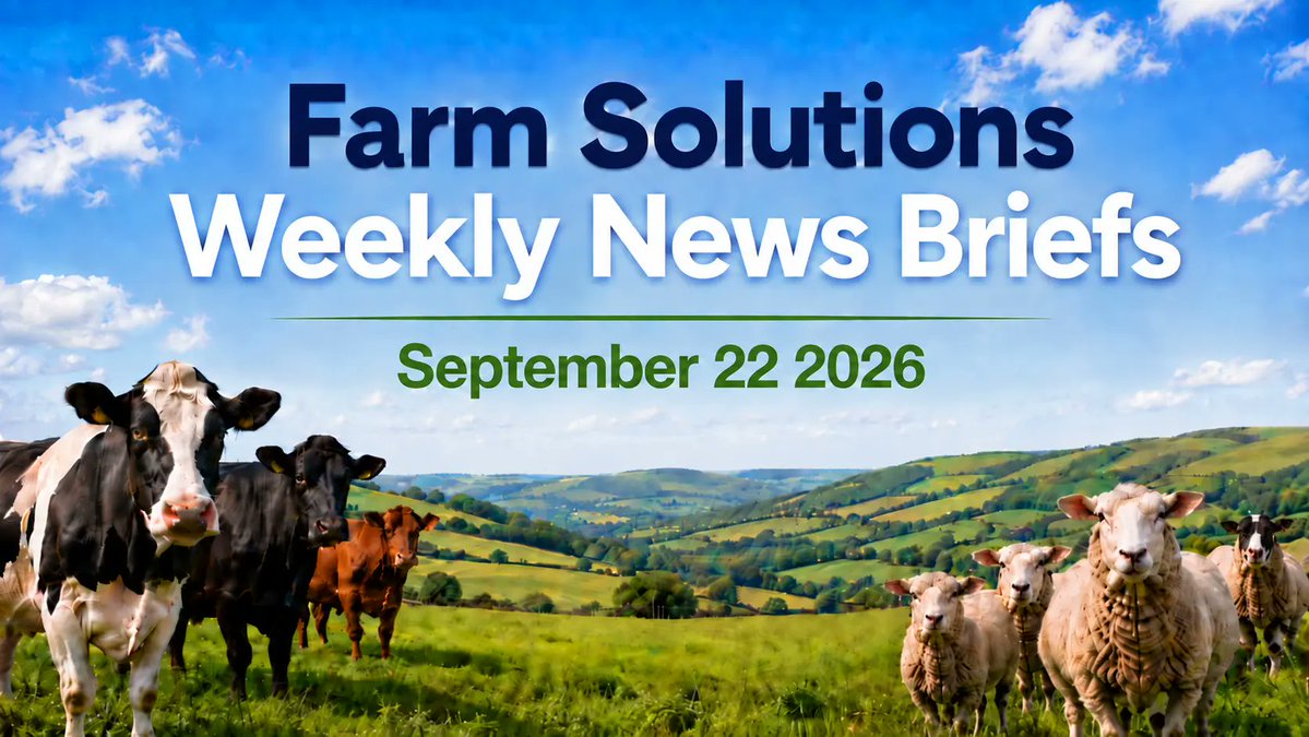 FarmSolutions1's tweet photo. Huge jump in Bluetongue affected premises in England and Wales over the last week. Up by between 40% and 45%, coinciding with a relaxation of Bluetongue vaccination reporting.
https://t.co/fFHJ04Bt0a

#FarmSolutions #Bluetongue #SheepFarming #CattleFarming #AnimalHealth https://t.co/OP9De1yjoT
