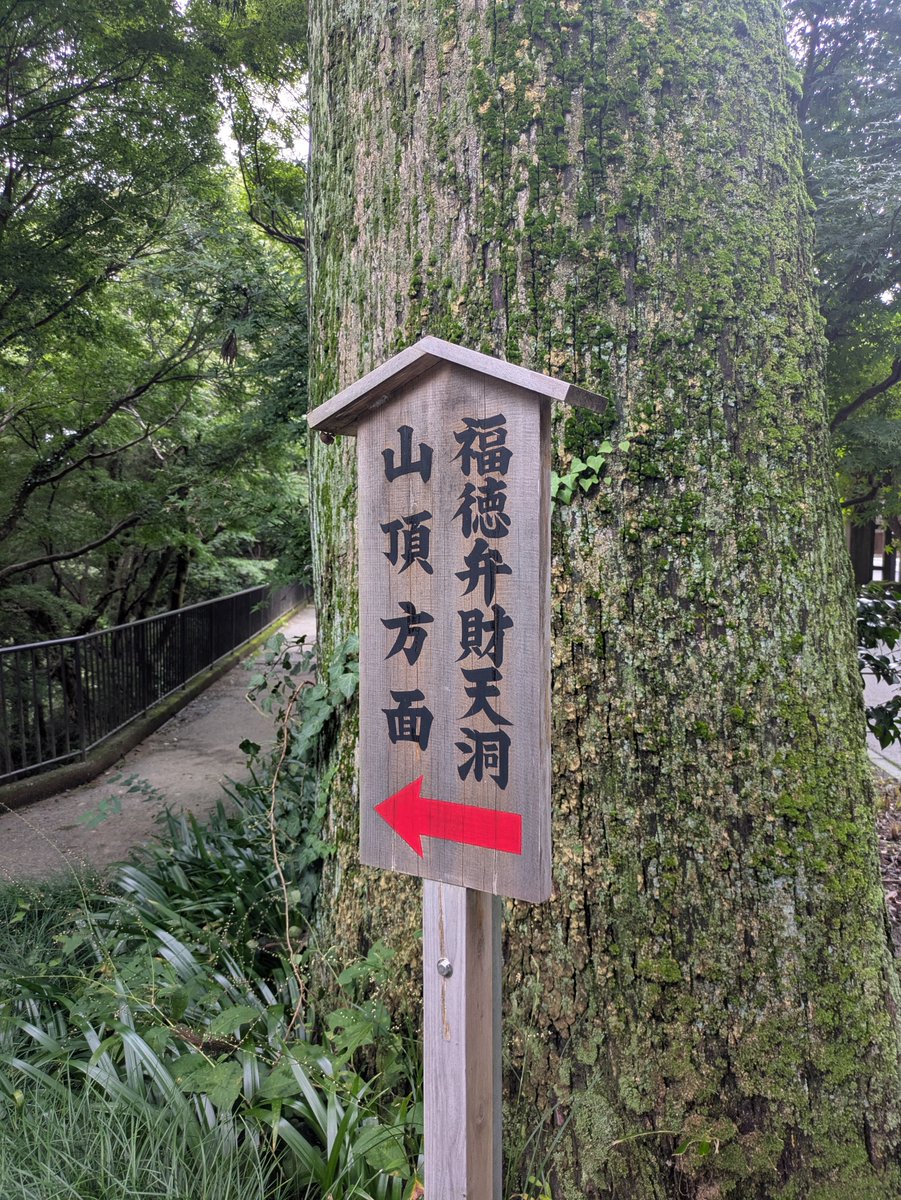 naganoijyu's tweet photo. 何度行っても知らない場所に出会う高尾山。楽しい。 https://t.co/1GQenpXAJ0
