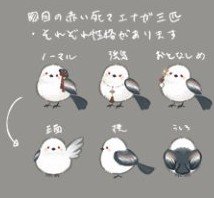 Shiogi_S's tweet photo. 死マエナガ…
性格があったのですね… https://t.co/Bg8VH6Zb9I
