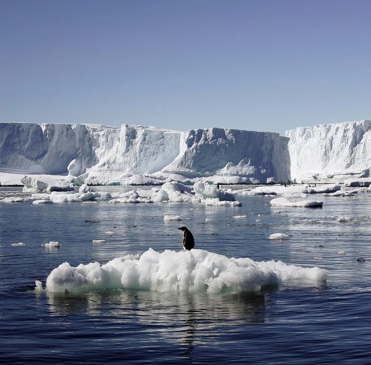 PeterDClack's tweet photo. The climate alarmists rarely mention a fundamental geographical fact: Earth is in the Quaternary Ice Age.

We are simply living through a warm interglacial period—known as the Holocene. Over the last 250 years, global temperatures shifted only 1.1°C to 1.4°C, bringing our global average to around 15°C.

How does this compare to Earth's broader history? It is drastically cooler than the planet's long-term baseline range of 18°C to 26°C, a threshold that characterised geological history before the current ice age era.

The climate narrative treats carbon dioxide as if it has somehow become a toxic modern pollutant, omitting the fact that CO₂ levels have been sitting at historic low levels for millions of years. Historically, these depleted levels—dropping to a ~180 ppm floor during glacial peak levels—led to hyper-aridness, expanding dry savannahs and severely reduced global biomass.

The natural baseline of our planet demonstrates that warmth and elevated carbon are primary drivers of a greener biological expansion. To generate catastrophic sea-level models, computer simulations would require a rapid, uniform melting of global ice caps. But this scenario ignores planetary geography. Past ice-melts came from vast prehistoric sheets—like the Laurentide and Fennoscandian—which extended far into mid-latitudes. They all melted long ago.

This were far more vulnerable to solar warmth than today's polar ice caps sitting over the Antarctic landmass and Arctic Ocean basin. The poles are oceanographically and meteorologically isolated from warm tropical currents. Because of this, a sudden, runaway collapse of polar stability is structurally impossible. The entire system is anchored by deep ocean dynamics that models consistently oversimplify.

Even if we looked at extreme historical melt events, the mathematical models behind today's 'climate doom' scenario would all collapse.

Following the end of the Last Glacial Maximum 19,000 years ago—when massive, vulnerable ice sheets sat directly exposed on land across Europe and North America—the average rate of sea-level rise was only 1.33 cm per year over a 9,000-year thaw, not even crawling pace.