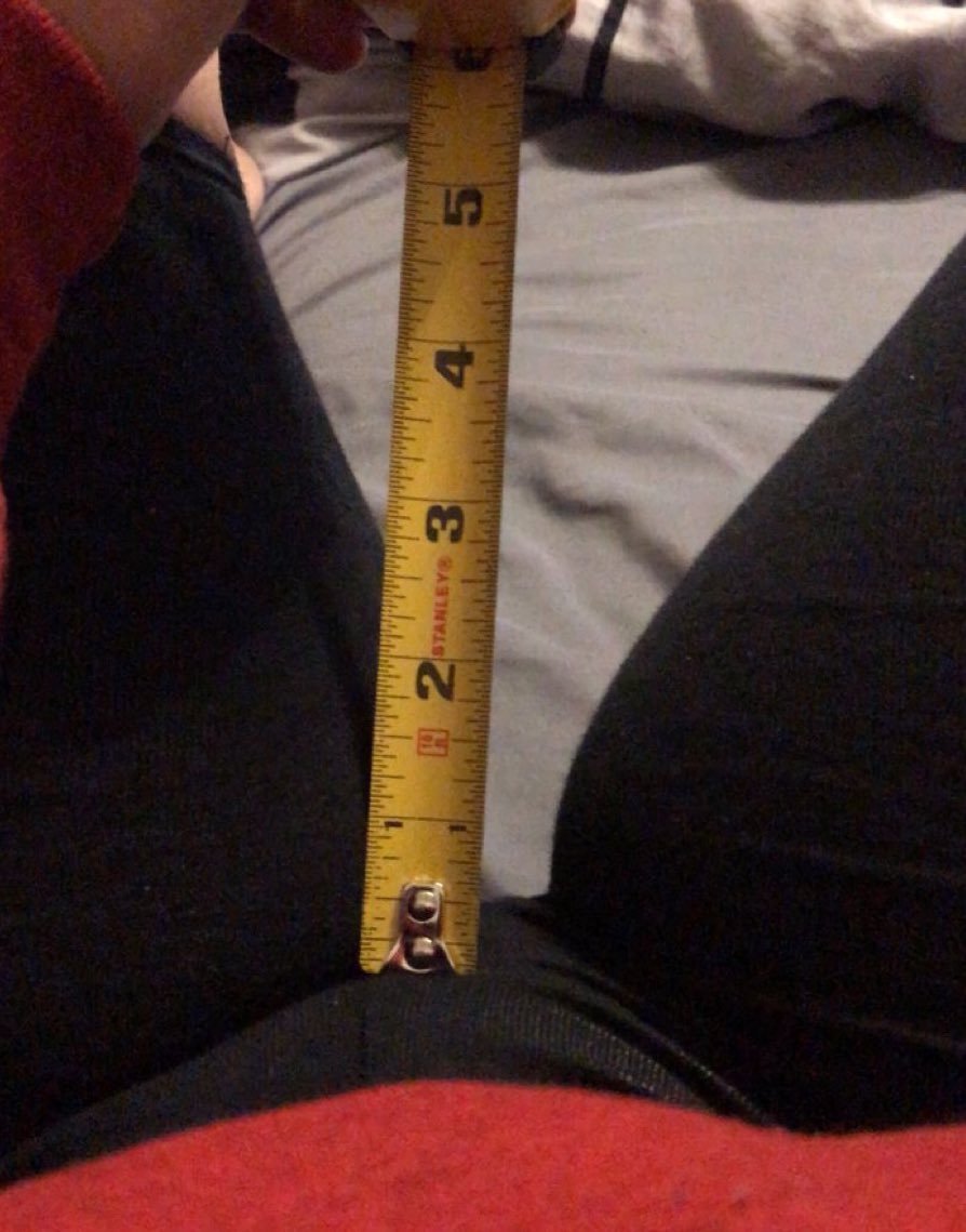 i_gids's tweet photo. 6 inches is fine. What more do this bees want https://t.co/hHoIZ3jq55