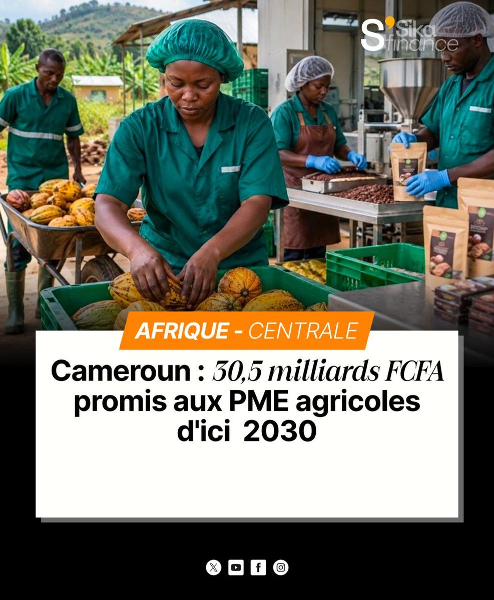 finance_sika's tweet photo. Le Cameroun lance un dispositif destiné à faciliter l’accès au financement des PME et coopératives agricoles tout en encourageant des pratiques sans déforestation.
https://t.co/nEi7aNSBrC https://t.co/DdEidlhi1z