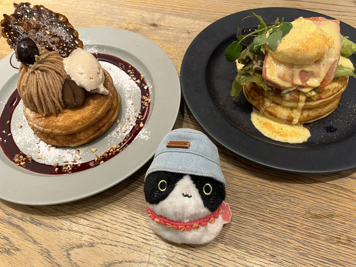 t67849325's tweet photo. 大阪謎解き旅は今日で終了の予定だったのに、急遽もう一泊することになったのだった… https://t.co/fjvtboInfW