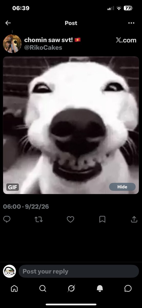 WhatTePho's tweet photo. @RikoCakes LMFAOOO that sensitive content will get you banned buddy chill https://t.co/lY57hvcCUf