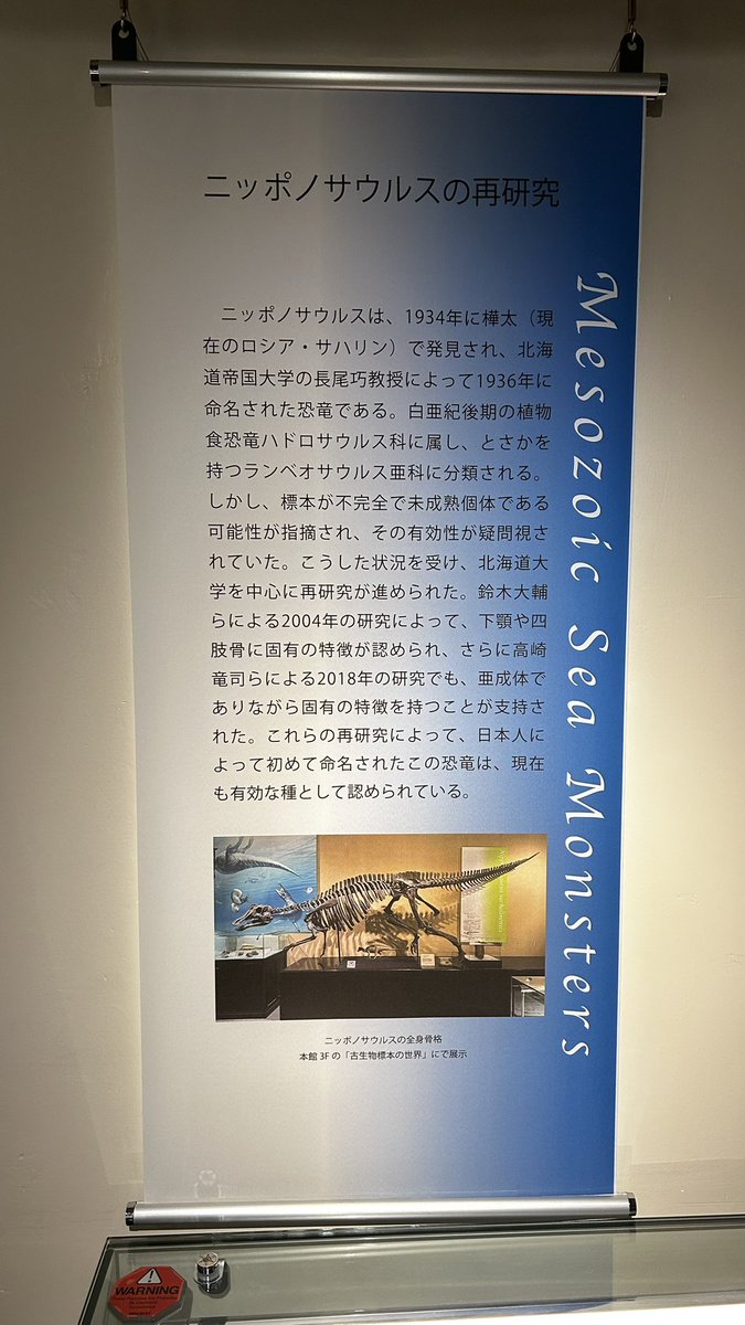 uta_raptor's tweet photo. ニッポノサウルスの実物化石も、ちょうど今開催中の特別展会場で展示されています！
https://t.co/WNx35Bio5w

#火曜日は化石の日 https://t.co/61uGpawKuo