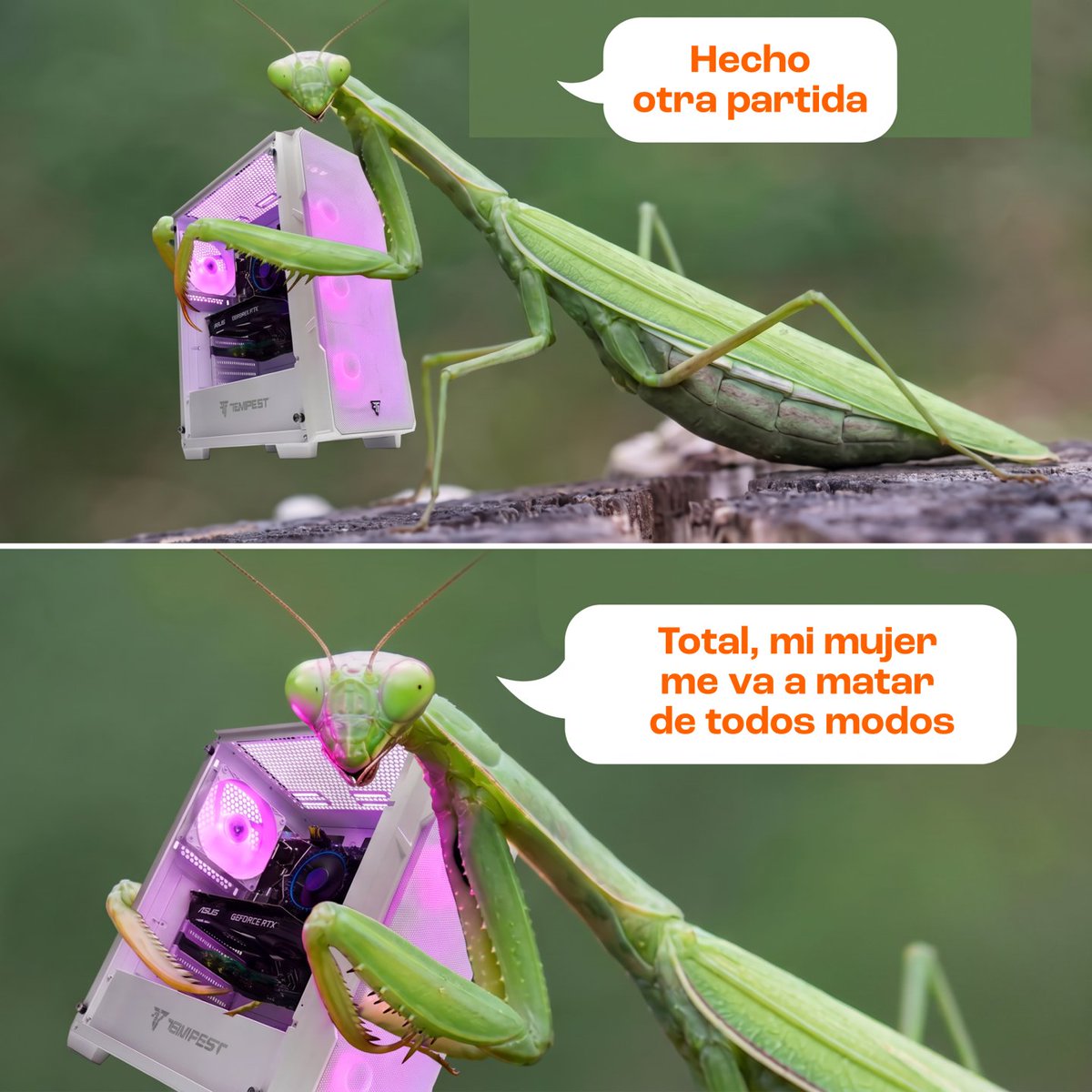 pccomponentes's tweet photo. Pero si no se lo cuentas, mejor 👉👈 https://t.co/HX9RLpaswg