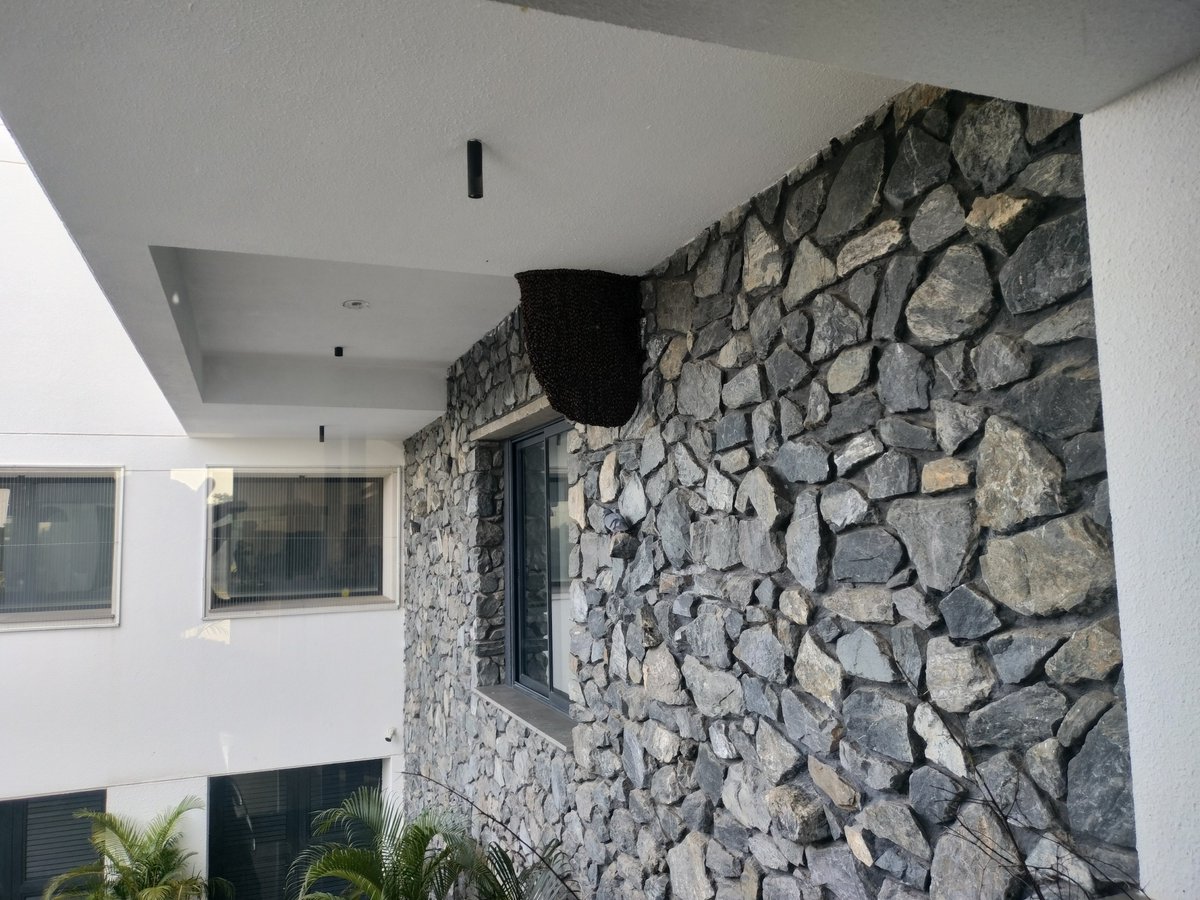 yapragun's tweet photo. #Beehive at an Architect's office cum residence! 🤷🙂🙂 https://t.co/cQymVJVDpt