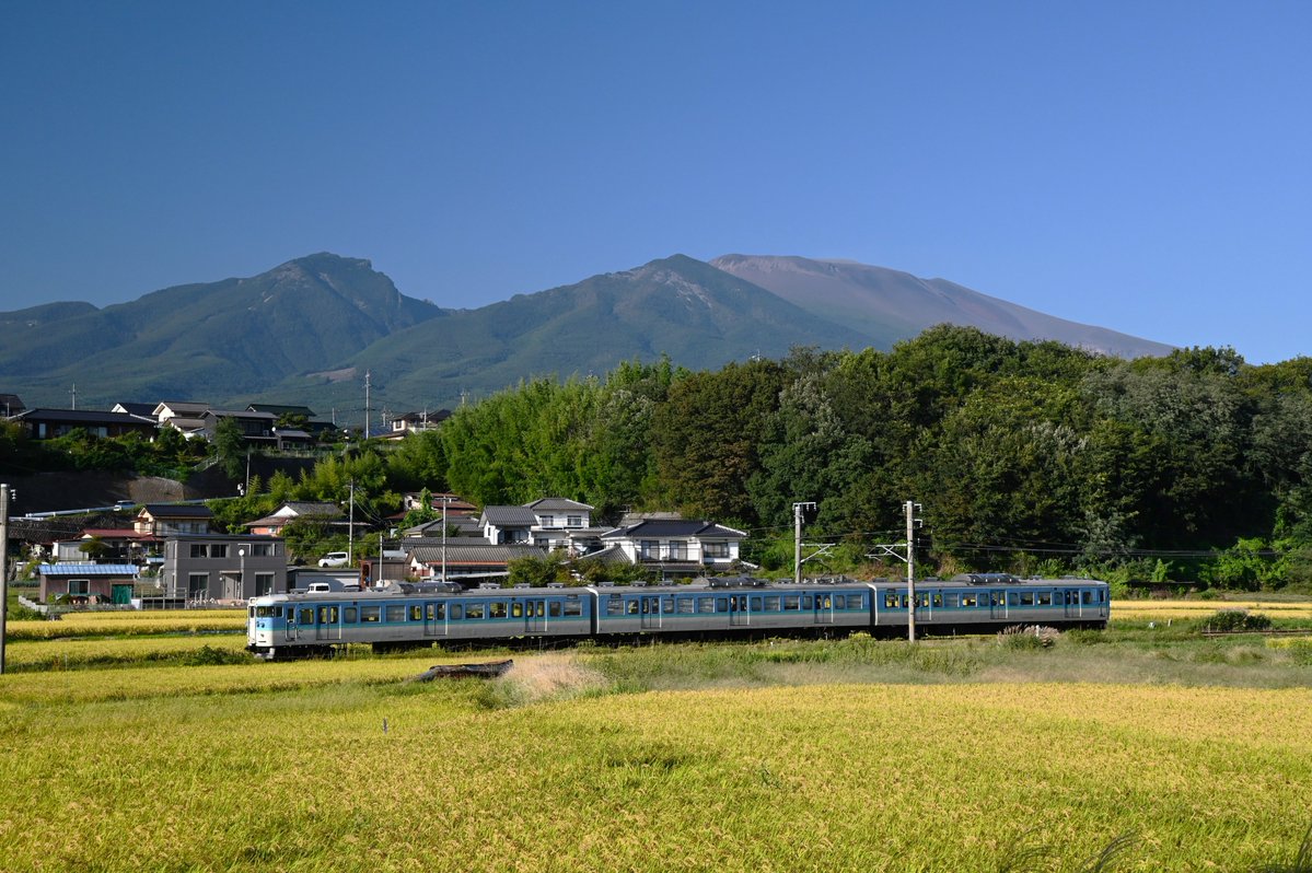 Nordpol2017's tweet photo. しなの鉄道 御代田～平原
115系 S3編成、S8編成、S9編成（列版略）

湘南色が運用に入っていた午前中は、激山とはなりませんでした… https://t.co/rr30Pr4BsZ