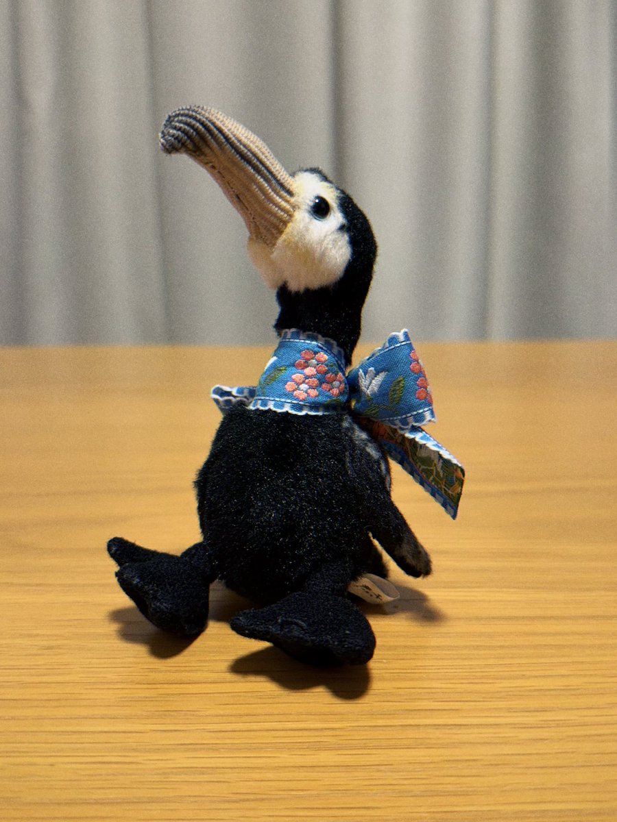 zinbei_info's tweet photo. 岐阜出身、鵜の羽世にぴったりのリボンが手に入ったので首に巻いてあげた https://t.co/3tjden4Jce