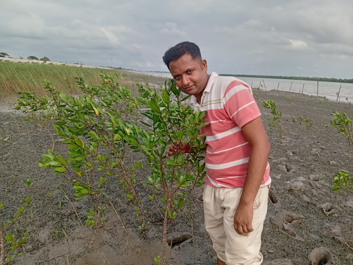 SESDOBD's tweet photo. A year ago, this landscape was the beginning of a shared dream.
Today, young mangroves are growing through CBEMR and community effort.
One site. One community. One mangrove at a time.
#Mangroves4Life #CBEMR #MangroveRestoration #SESDO #Sundarbans https://t.co/ebg5VOd8c4