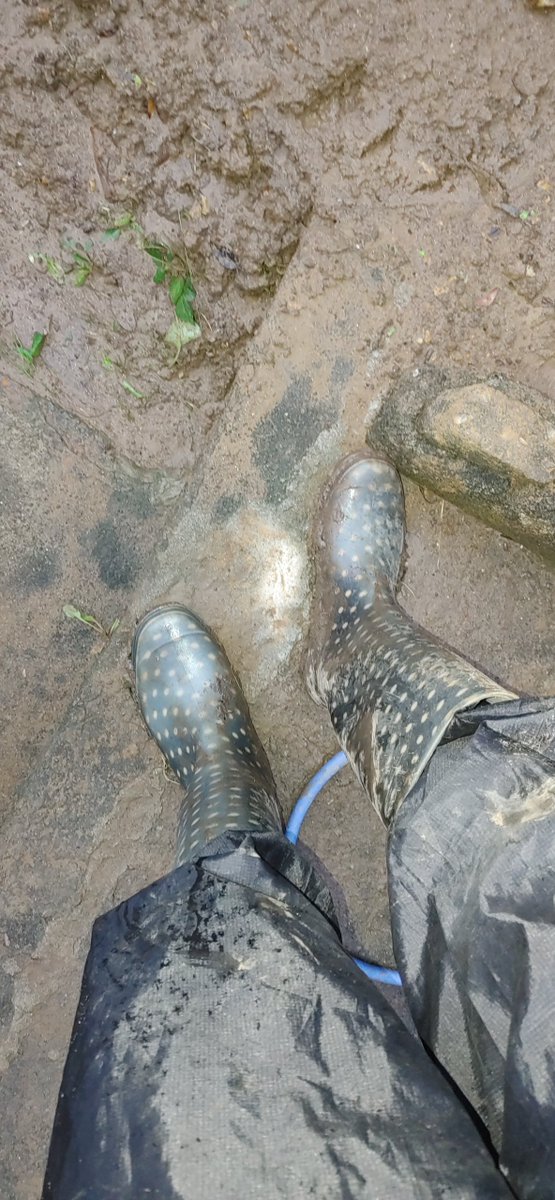 inachu__'s tweet photo. すぐ裏の空き家の裏山で土砂崩れ…
家の周りどろどろ
次またあんな雨きたらどうなっちゃうの…
他の地域もどろどろ
ほんとに酷すぎる…

#横須賀　#三浦 https://t.co/YxUEM0Wm28