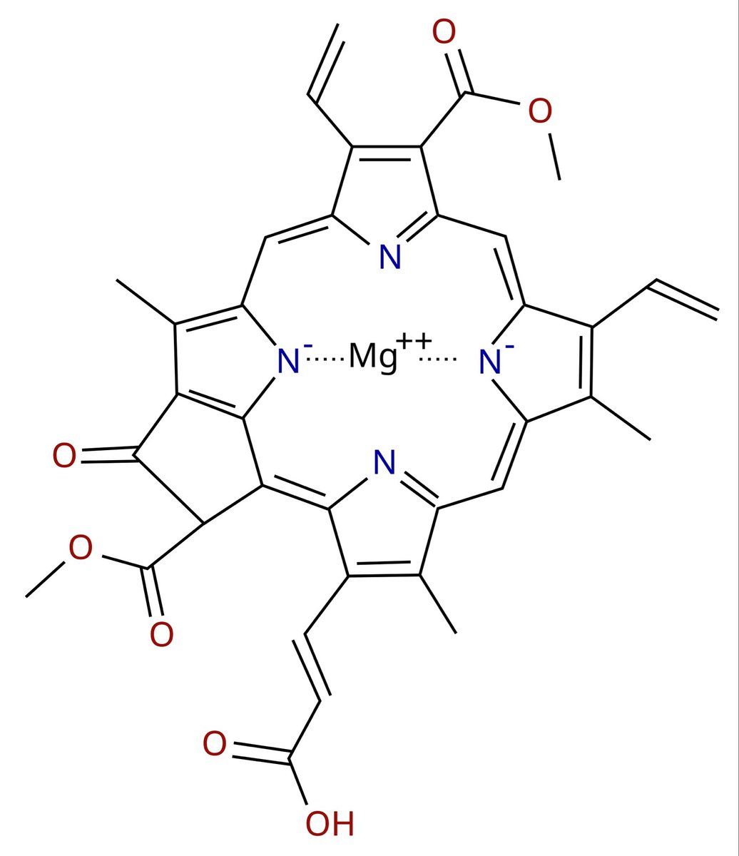 usereditable's tweet photo. @max__drake Looks similar to chlorophyll https://t.co/pKPceY7lyQ