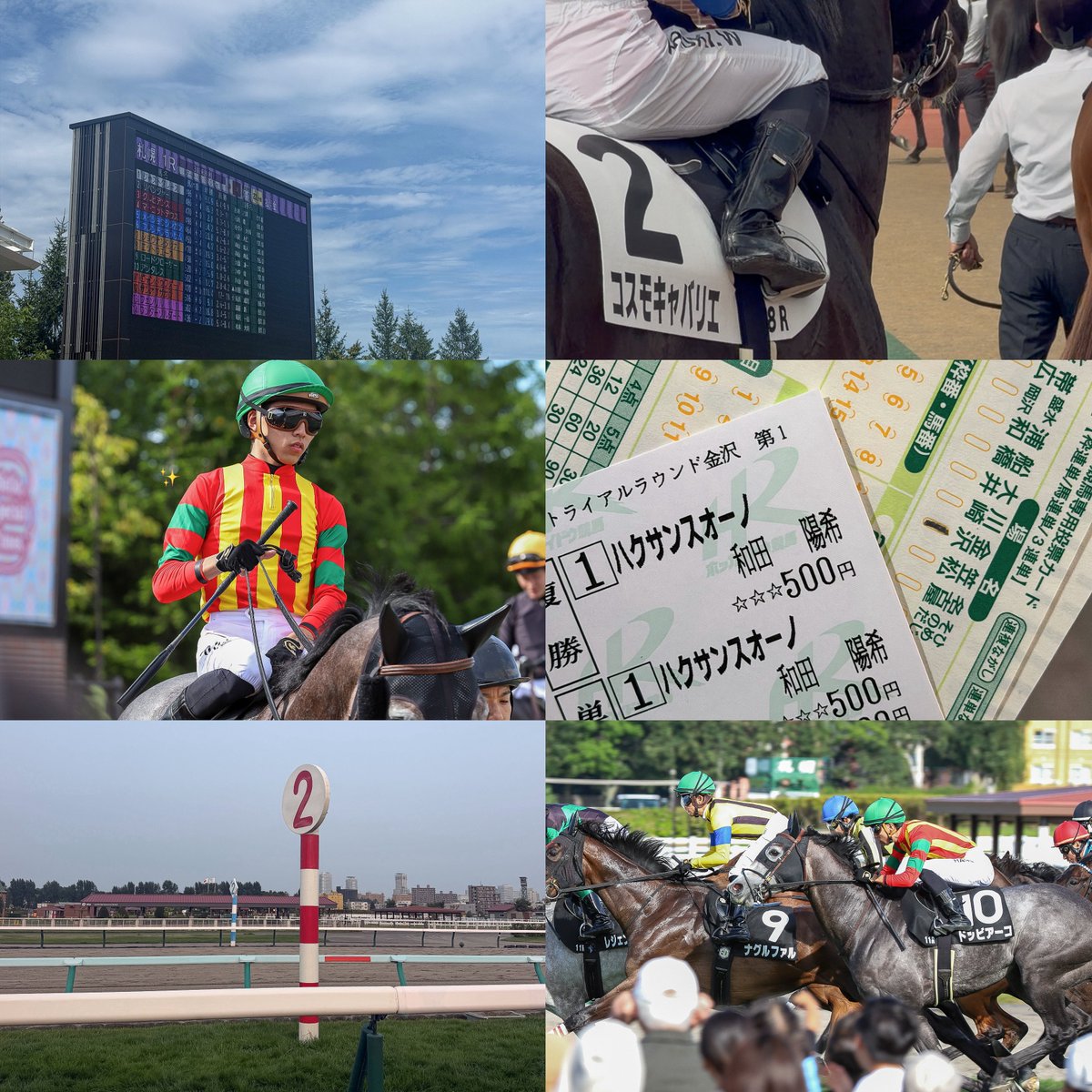 315_h_'s tweet photo. おぱんちと和田陽希騎手を
とても応援しています🏇🪄

#馬好きアカウント向けプロフ帳
#競馬好きな人と繋がりたい
#競馬好きと繋がりたい https://t.co/WXuP5fcjCi