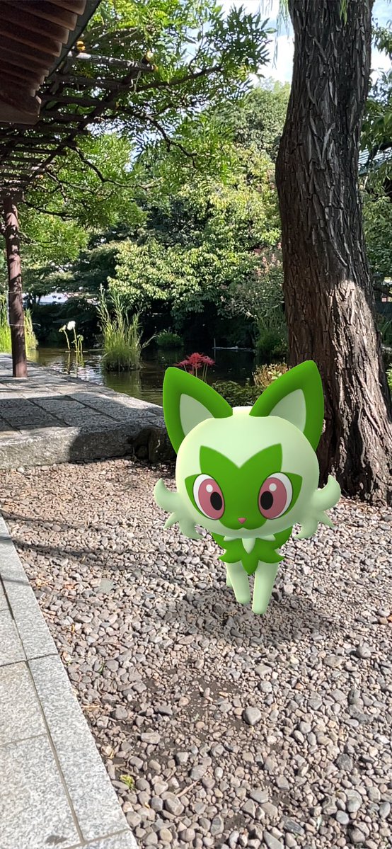 UMEyunagi's tweet photo. 今日は晴れてくれたのでお大師様へ
ポケGO相棒のニャオハちゃんとお散歩しました
日差しは強かったけど陽を浴びるのは気持ちいい

うちのメダカたち、やっとの晴れで餌をよく食べてくれました https://t.co/9OCQFISvo3